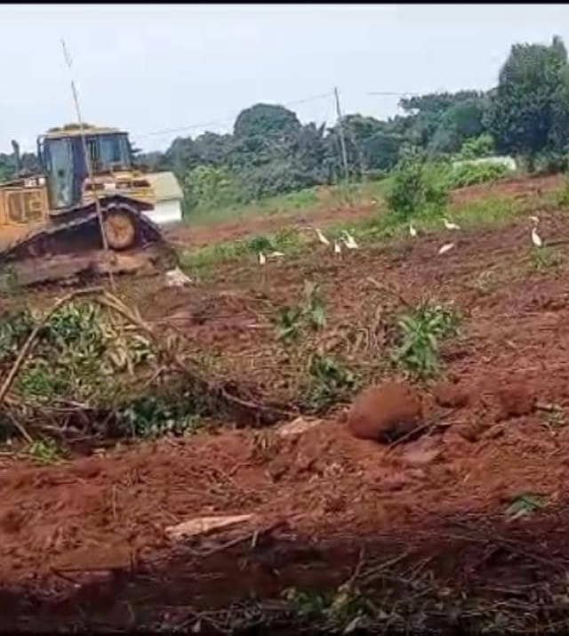 WhatsApp Image 2024-06-25 at 1.34.52 PM 2.jpeg